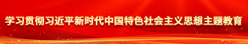 啊啊想要免费视频学习贯彻习近平新时代中国特色社会主义思想主题教育